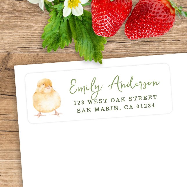 Sweet Watercolor Chick Baby Shower Return Address (Creator Uploaded)