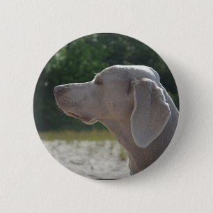 Sweet Weimaraner Dog Profile 6 Cm Round Badge