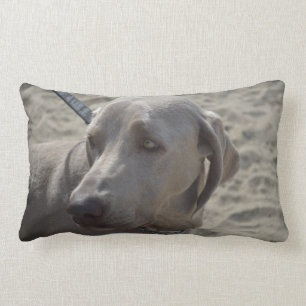 Sweet Weimaraner Lumbar Cushion
