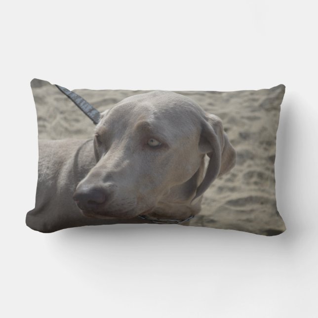 Sweet Weimaraner Lumbar Cushion (Front)