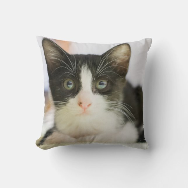 Sweet White And Black Kitten Cushion (Front)