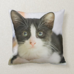 Sweet White And Black Kitten Cushion