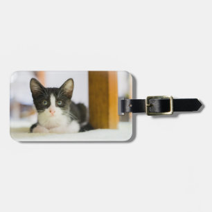 Sweet White And Black Kitten Luggage Tag