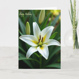 Sweet White Lily Birthday Card