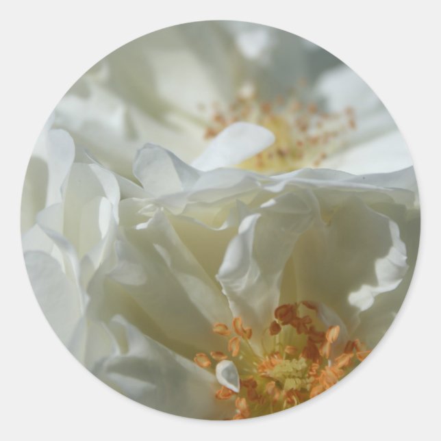 Sweet White Round Sticker 1 (Front)