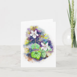 Sweet White Violet blank card