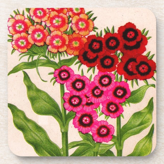 sweet william coaster (Front)