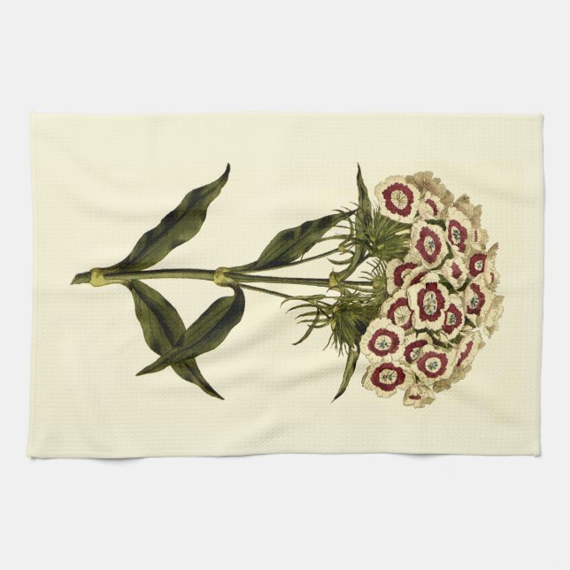 Sweet William Floral Art Kitchen Towel (Horizontal)