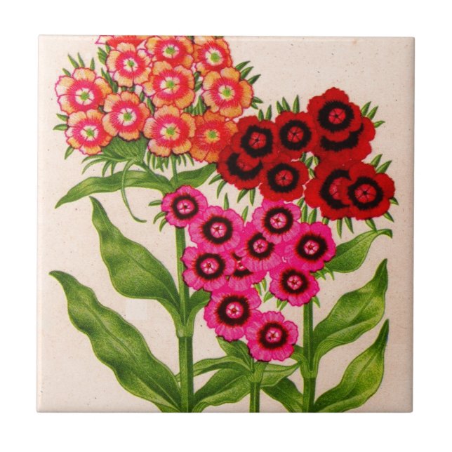 sweet william tile (Front)