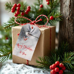 Sweet Winter Bird Christmas Gift Tags<br><div class="desc">Sweet Winter Bird Christmas</div>
