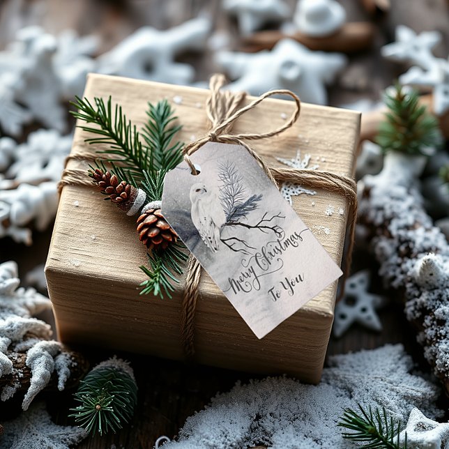 Sweet Winter Owl Christmas Gift Tags (Creator Uploaded)