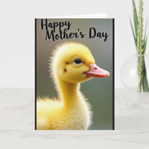 Sweet Yellow Bird Mothers Day Card