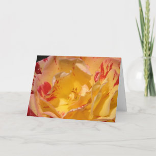 Sweet Yellow Rose Flower Greeting or Note Cards