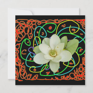 Sweetbay magnolia (Magnolia virginiana) Holiday Card