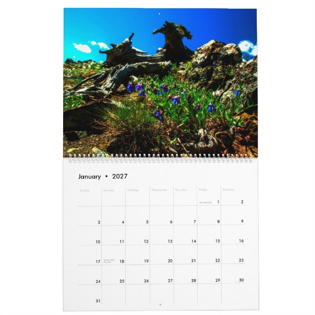 Sweetgrass 2014 Calendar (Jan 2027)