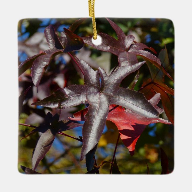 Sweetgum Leaves in Fall Ceramic Ornament (Front)