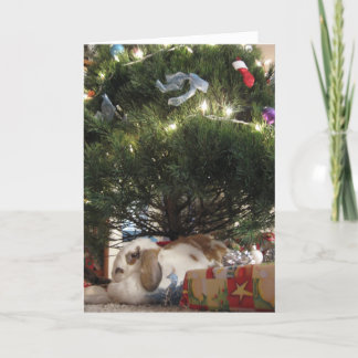 Sweetie Pie's Christmas Holiday Card