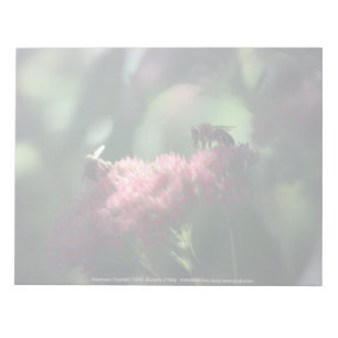 Sweetness Notepad