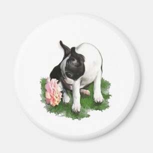 Sweetpea Magnet