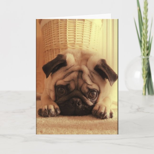 SweetPea Pugs Greeting Card (Front)