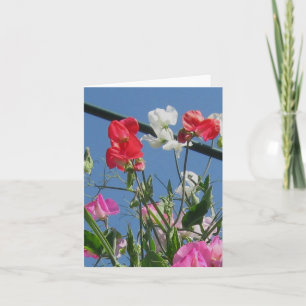 Sweetpeas Note Card