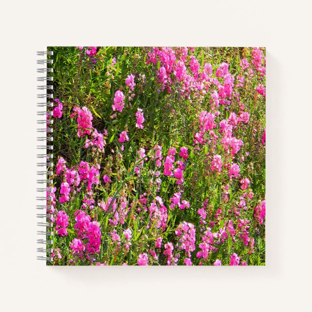 Sweetpeas on the hill.... notebook (Front)