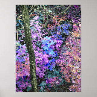 Sweets of Spring Poster