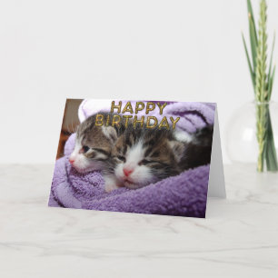 Sweets sleepy kitties card