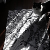 Swept up Ink Goddess Pagan Art