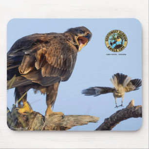 SWFL Eagle Cam Mouse Pad- E22 & Friend Pad
