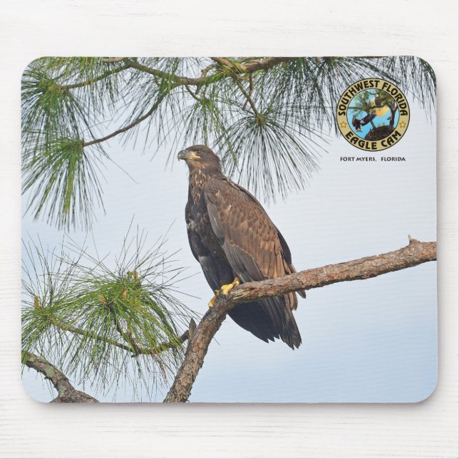 SWFL Eagle Cam Mouse Pad- E23  Pad (Front)