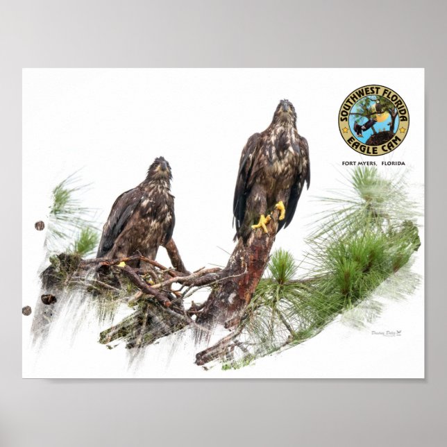SWFL Eagle Cam Wall Poster (Front)
