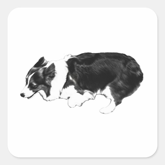 Swift corgi, pocket smile square sticker (Front)