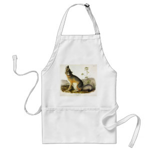 Swift Fox (Vulpes Velox) from Audubon's Quadrupeds Standard Apron