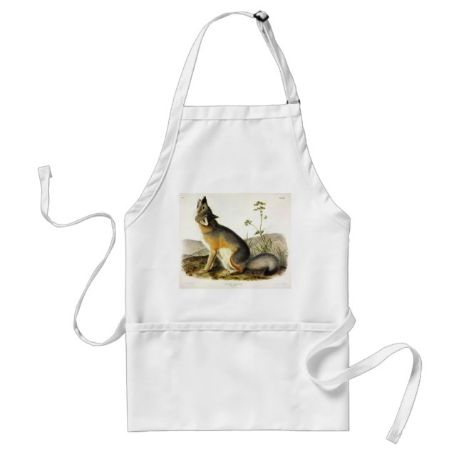 Swift Fox (Vulpes Velox) from Audubon's Quadrupeds Standard Apron (Front)