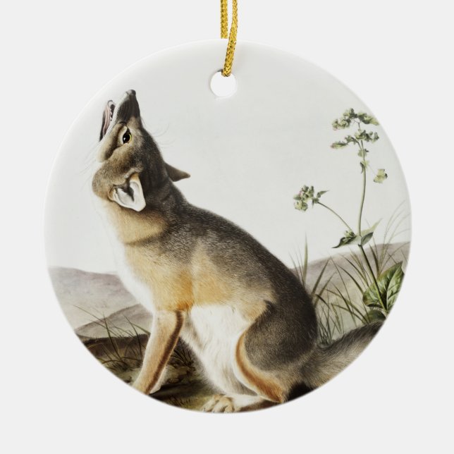 Swift Fox (Vulpes velox) Illustration Ceramic Tree Decoration (Front)