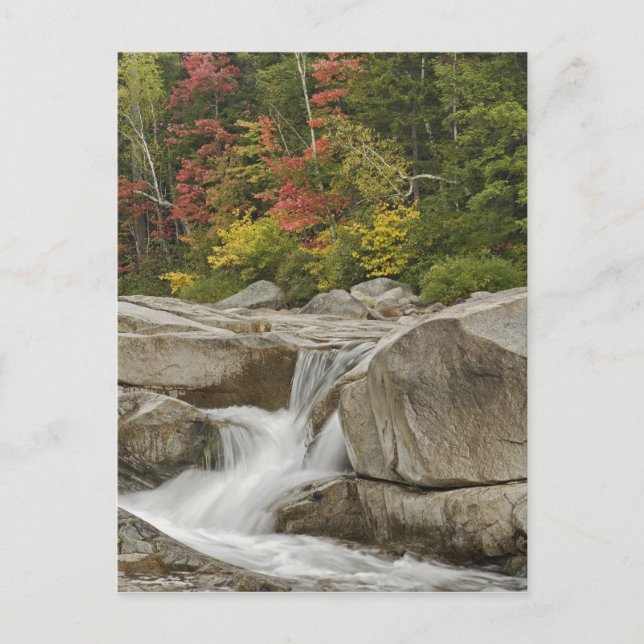 Swift River cascading through rocks, White Postcard (Front)