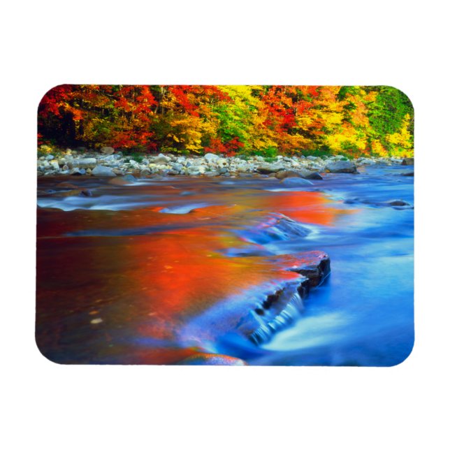Swift River reflecting autumn colours Magnet (Horizontal)