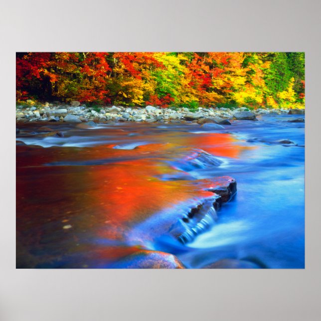 Swift River reflecting autumn colours Poster (Front)