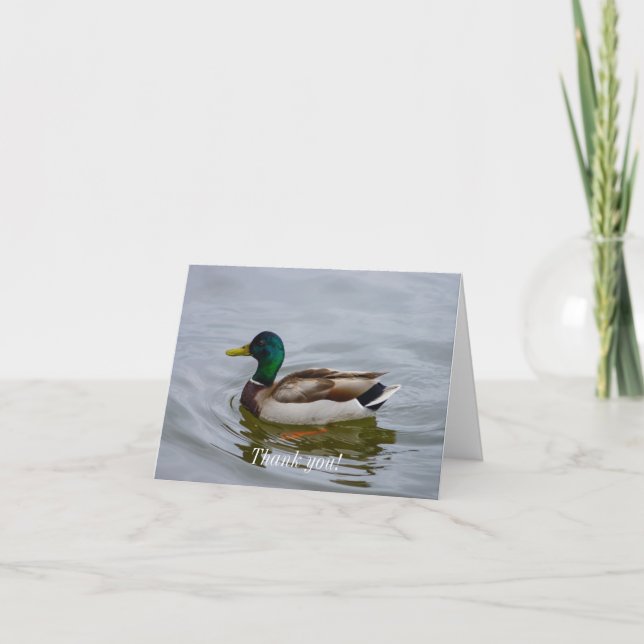 Swim Mallard Swim Thank You Card (Front)