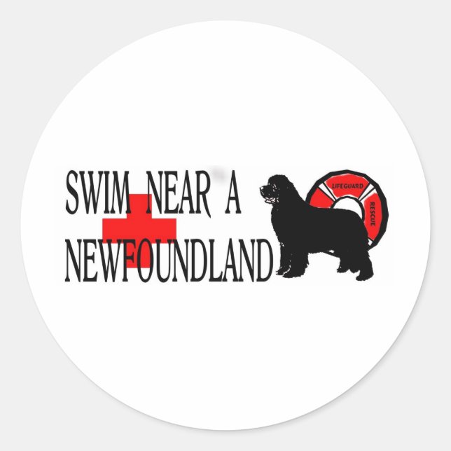 Swim near a Newfoundland Classic Round Sticker (Front)