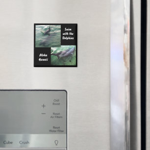 Swim with Dolphins Hawaii Magnet