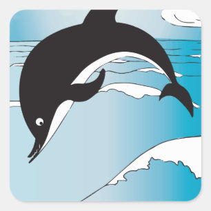 Swim With Dolphins Square Sticker
