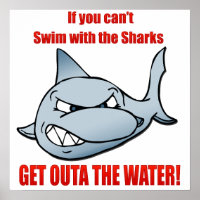 Swim with the Sharks