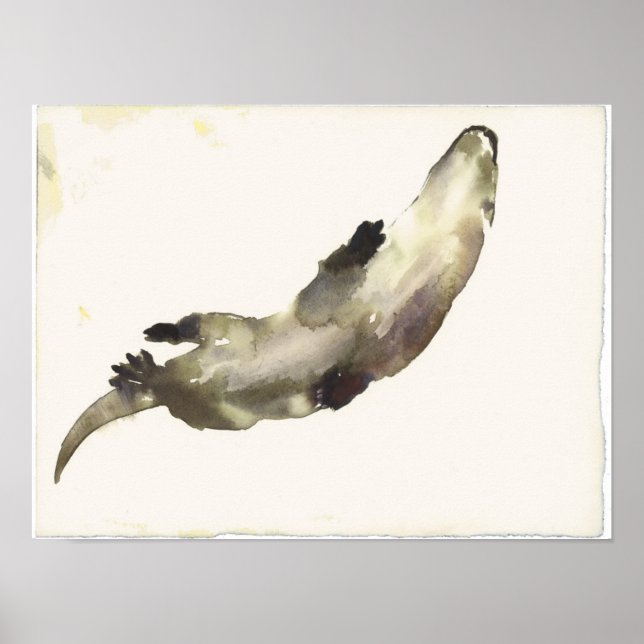 Swimming Above Poster (Front)