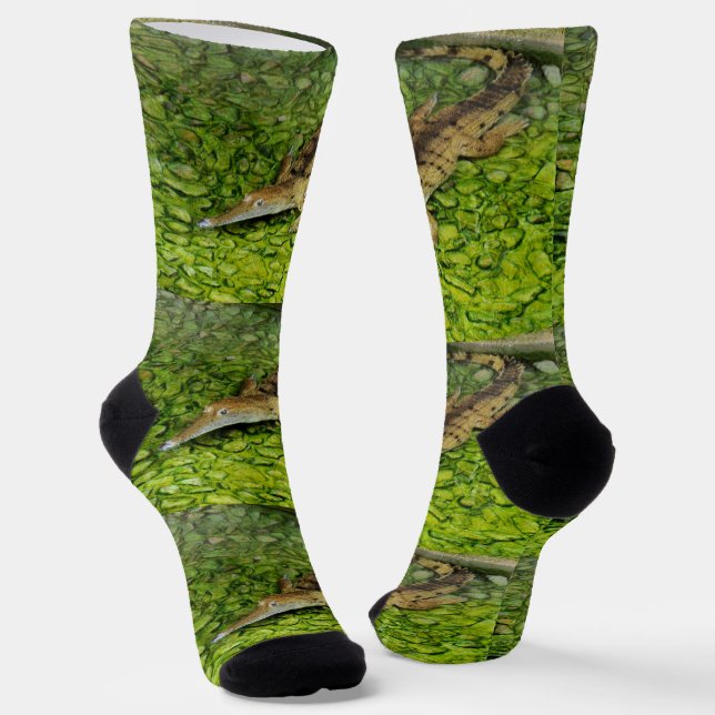 Swimming Alligator, Crew Socks  (Angled)