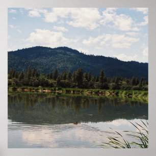 Swimming Alone..... Poster