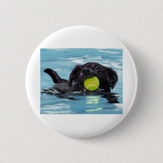 Swimming Black Lab 6 Cm Round Badge