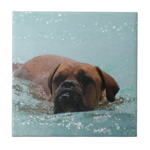Swimming Bordeaux Tile