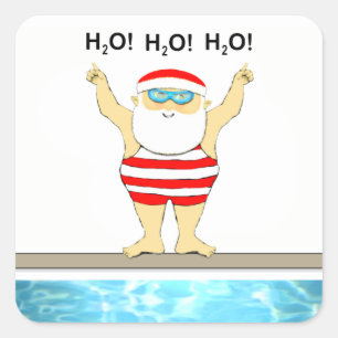 Swimming Christmas Holiday Labels